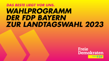 Landtagswahlprogramm.
